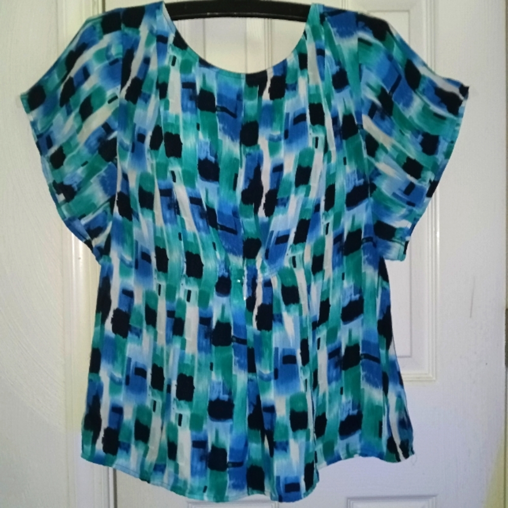 Chaus Blue Blouse(PTP 19" L 23")